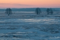 051_Biebrza - marzec 2013